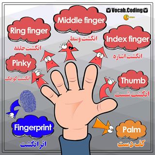 نکات تصویری ترجمه index