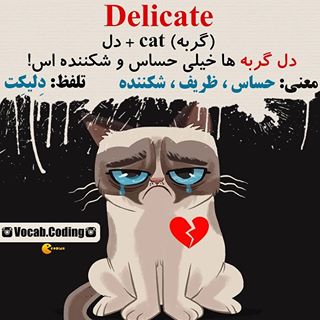 نکات تصویری ترجمه حساس