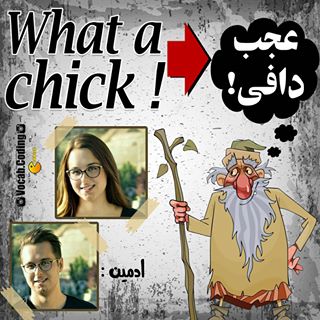 نکات تصویری ترجمه chick
