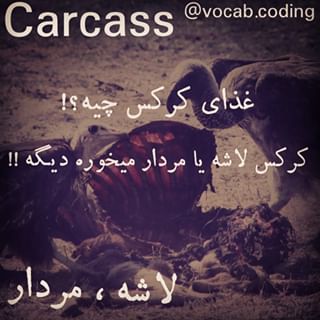 نکات تصویری ترجمه لاشه