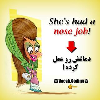 نکات تصویری ترجمه nose