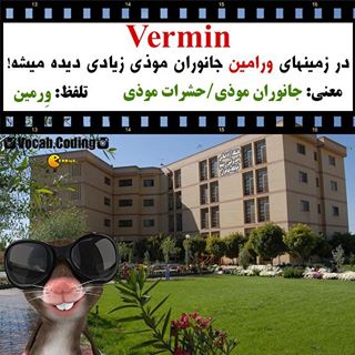 نکات تصویری ترجمه موذی