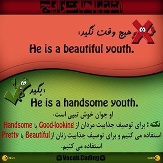 ترجمه کلمه good looks به فارسی