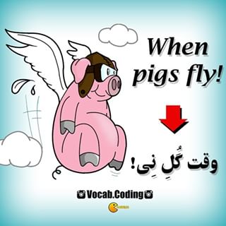نکات تصویری ترجمه pig