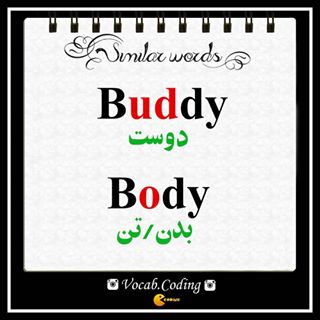 نکات تصویری ترجمه buddy