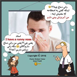 نکات تصویری ترجمه بینی