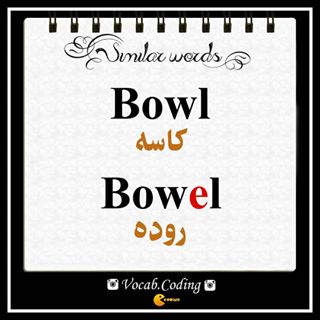 نکات تصویری ترجمه bowel