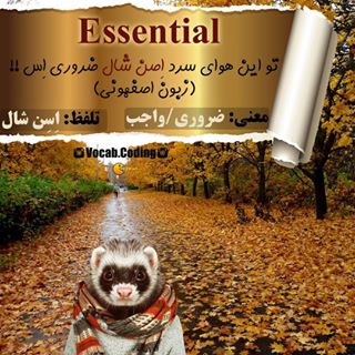 نکات تصویری ترجمه essential