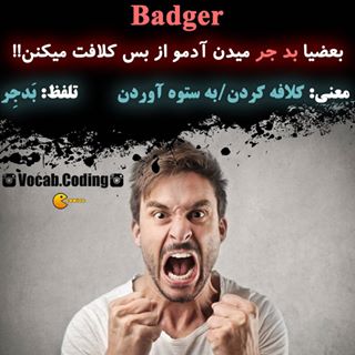 نکات تصویری ترجمه badger