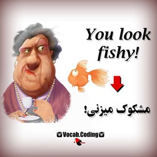 نکات تصویری ترجمه fishy