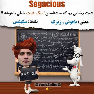 نکات تصویری ترجمه sagacious
