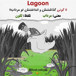 نکات تصویری ترجمه مرداب