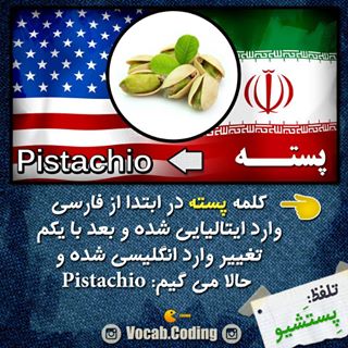 نکات تصویری ترجمه pistachio