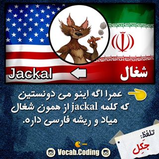 نکات تصویری ترجمه شغال