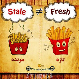 نکات تصویری ترجمه stale