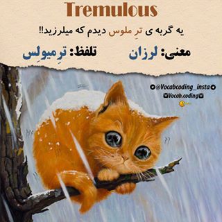 نکات تصویری ترجمه tremulous