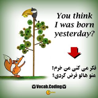 نکات تصویری ترجمه هالو