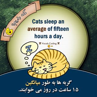 نکات تصویری ترجمه average