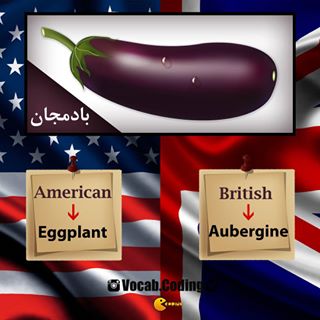 نکات تصویری ترجمه aubergine