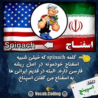نکات تصویری ترجمه اسفناج