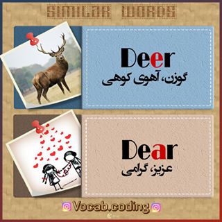 نکات تصویری ترجمه گرامی