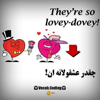 نکات تصویری ترجمه lovey-dovey