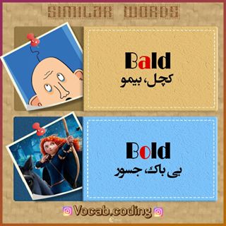 نکات تصویری ترجمه bald