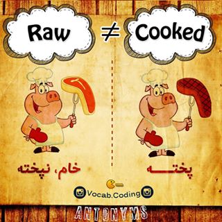 نکات تصویری ترجمه خام