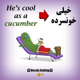 نکات تصویری ترجمه خونسرد