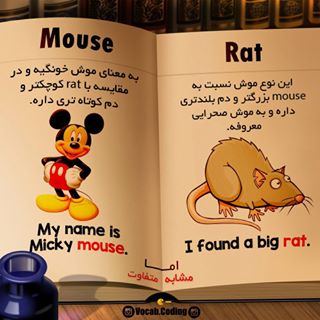 نکات تصویری ترجمه موش