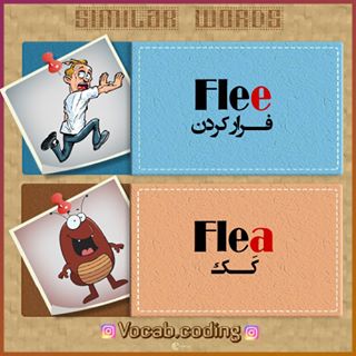 نکات تصویری ترجمه کک