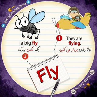 نکات تصویری ترجمه fly