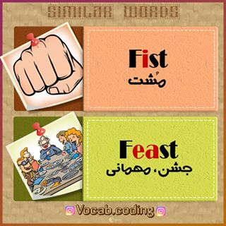 نکات تصویری ترجمه fist