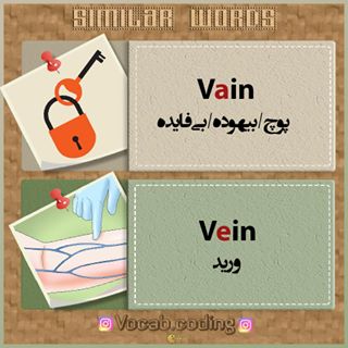 نکات تصویری ترجمه ورید