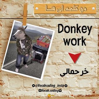 نکات تصویری ترجمه donkey