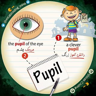 نکات تصویری ترجمه pupil