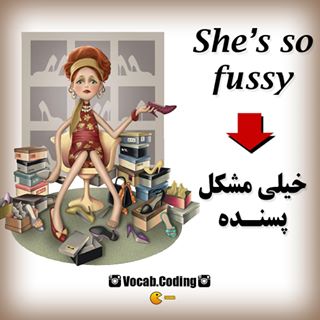 نکات تصویری ترجمه fussy
