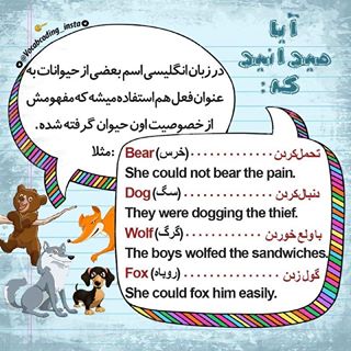 نکات تصویری ترجمه روباه