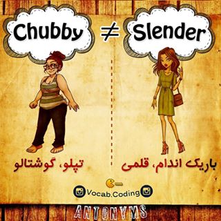 نکات تصویری ترجمه chubby