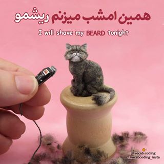 نکات تصویری ترجمه shave
