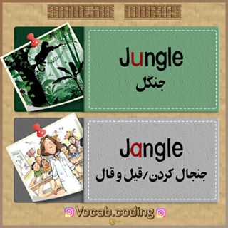 نکات تصویری ترجمه jungle