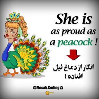 نکات تصویری ترجمه peacock