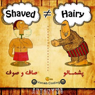 نکات تصویری ترجمه shaved