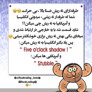 نکات تصویری ترجمه stubble