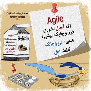 نکات تصویری ترجمه agile