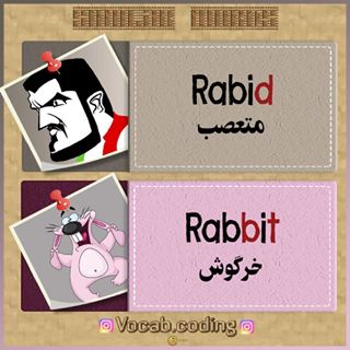نکات تصویری ترجمه خرگوش