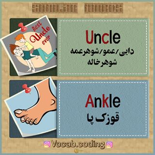 نکات تصویری ترجمه قوزک