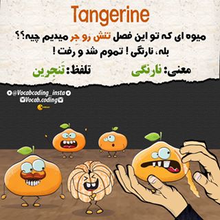 نکات تصویری ترجمه نارنگی