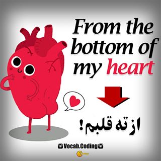 نکات تصویری ترجمه قلب